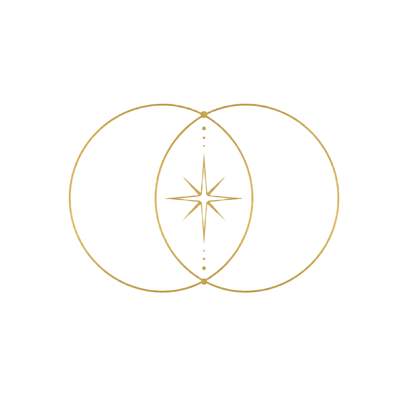 Reactivación Magnética